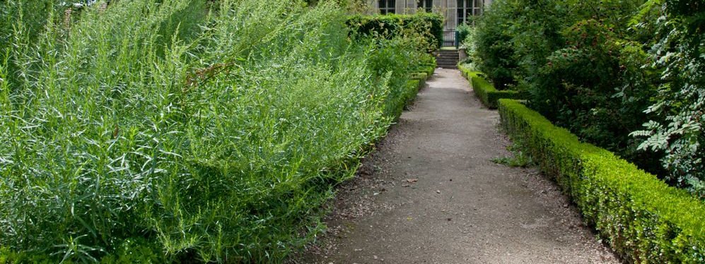 Le Jardin de la Citadelle - Régine Datin