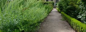 Le Jardin de la Citadelle - Régine Datin