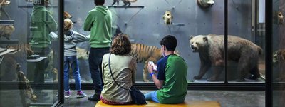 Le Muséum-Aquarium de Nancy