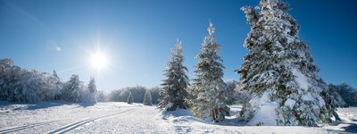 Le massif des Vosges