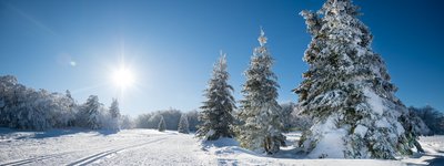 Le massif des Vosges