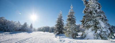 le massif des Vosges