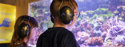 Immersion au Muséum Aquarium