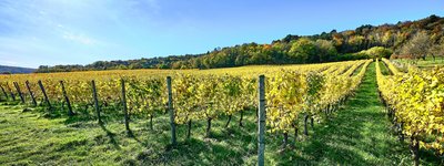 Les côtes touloises, Bruley