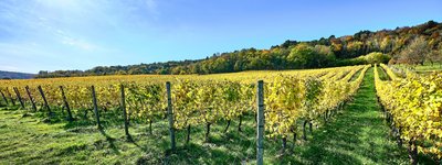 Les côtes touloises, Bruley